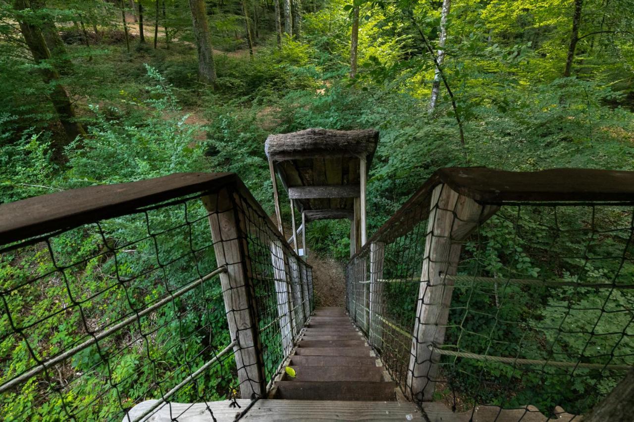 L'Arbre à Cabane Guyonvelle Exterior foto