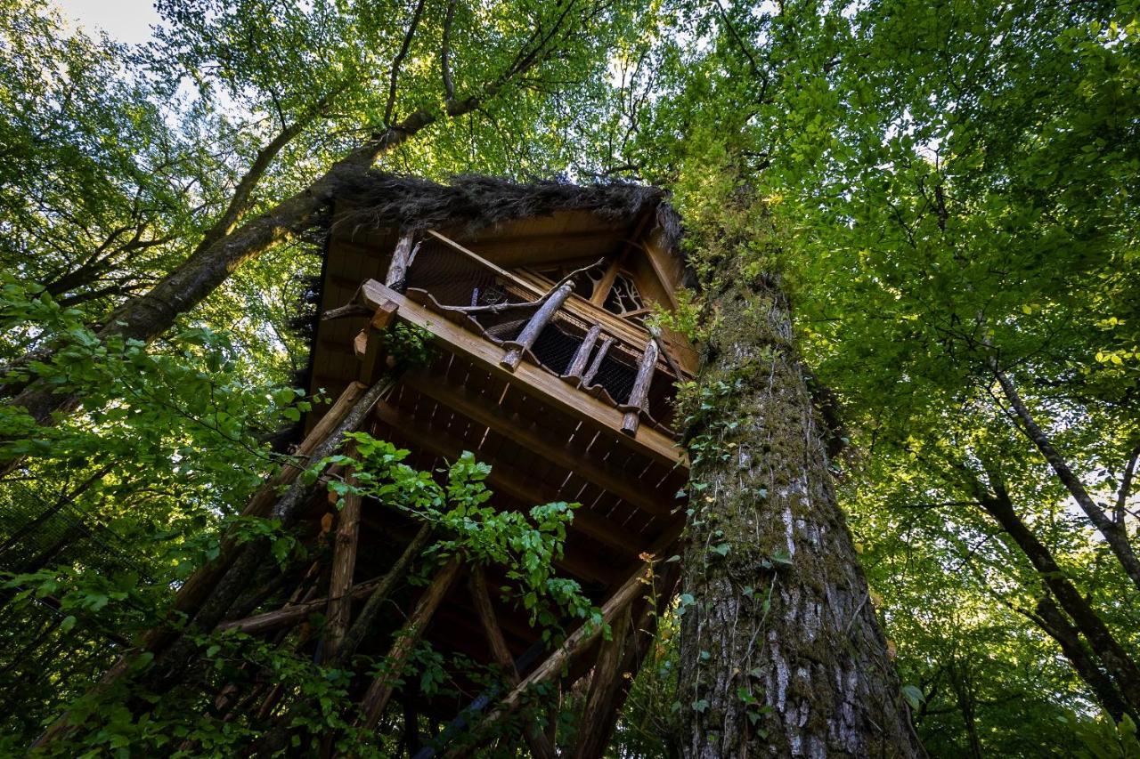 L'Arbre à Cabane Guyonvelle Exterior foto