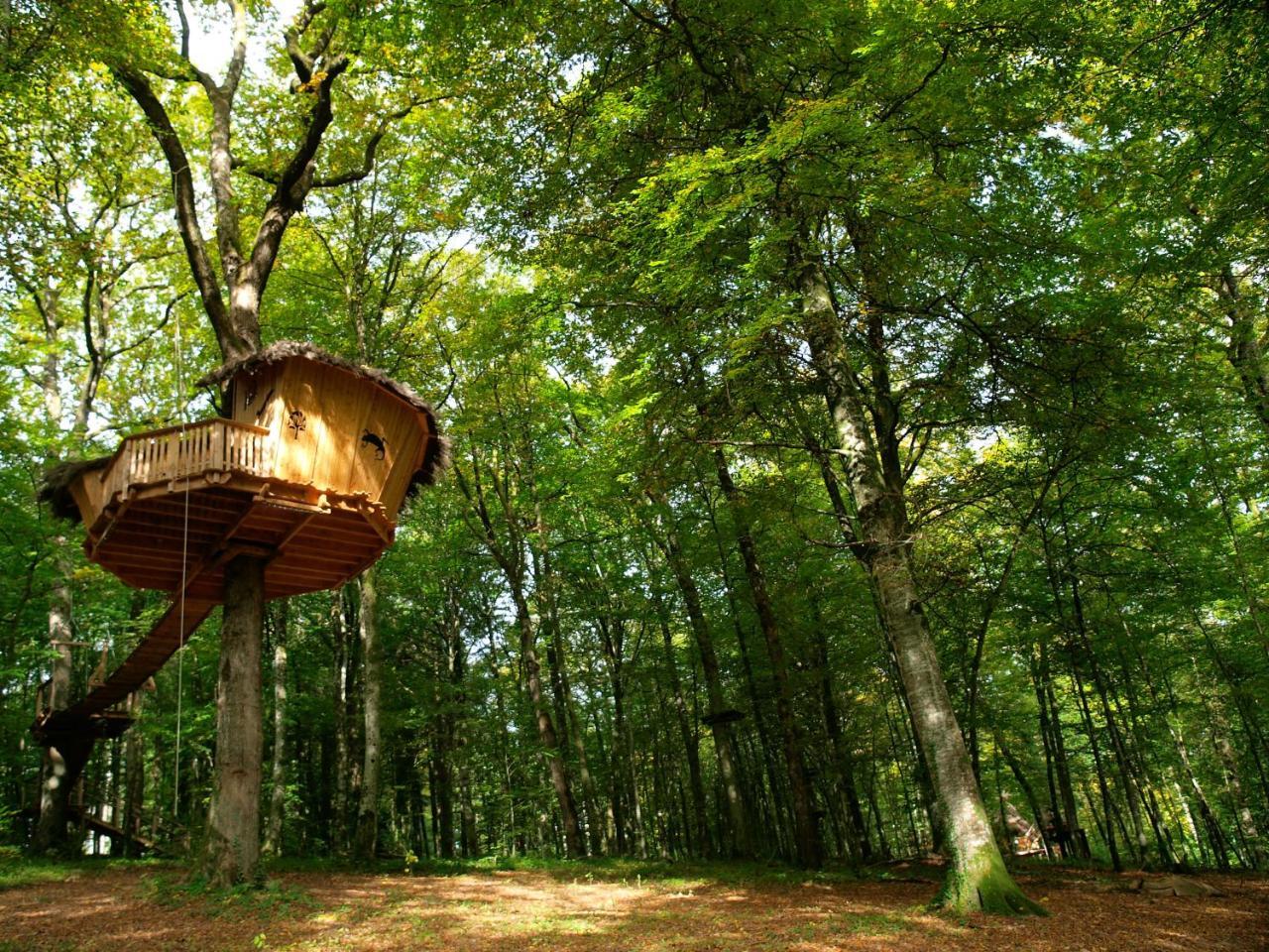 L'Arbre à Cabane Guyonvelle Exterior foto