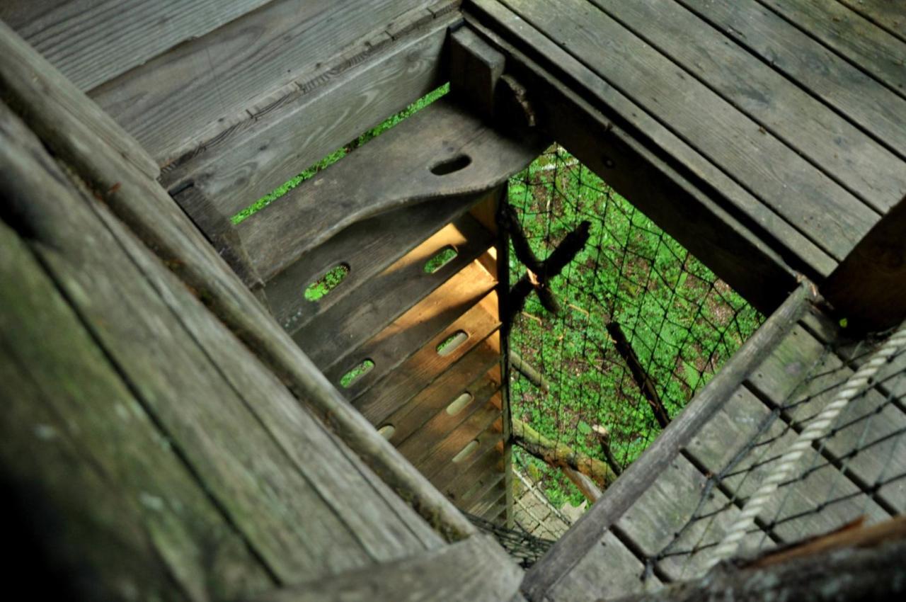 L'Arbre à Cabane Guyonvelle Exterior foto