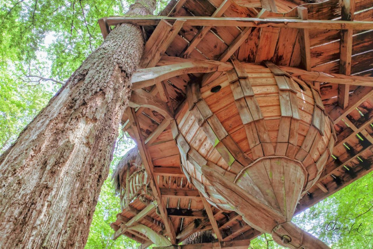 L'Arbre à Cabane Guyonvelle Exterior foto